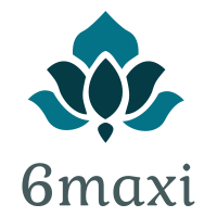 maxi6 logo