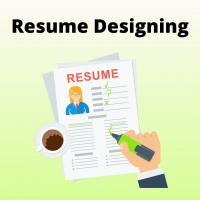 I will Design Your Resume According to your Job Profile