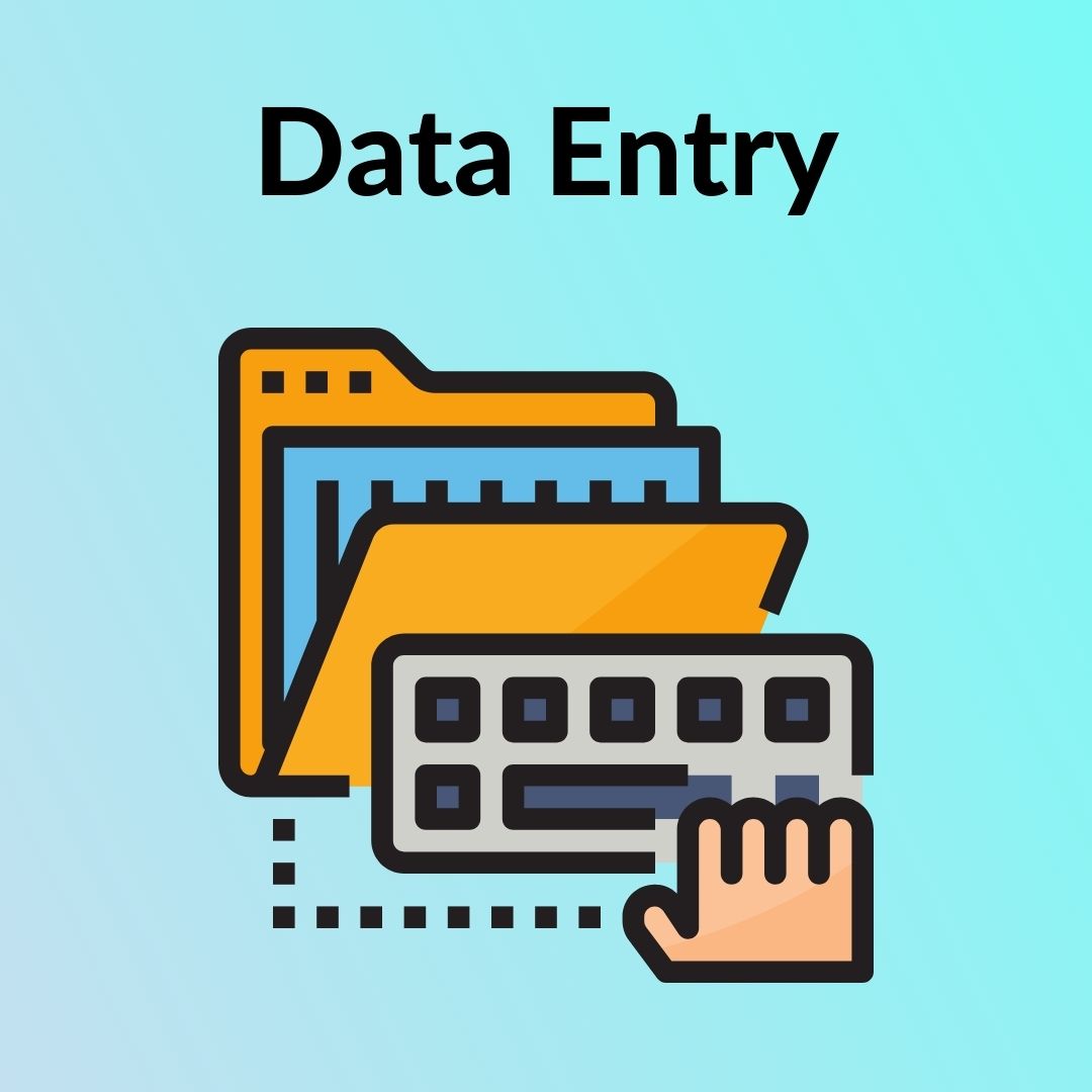 I will do 30 data entries of your business related work